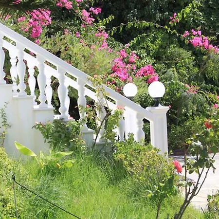 Irini-irene's House *